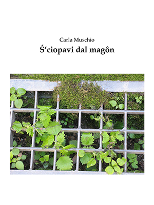 S'ciopavi dal magon